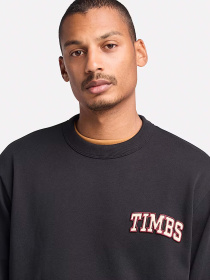 Свитшот Timberland TIMBS Graphic Crewneck модель TB0A6GPQ001 Фото