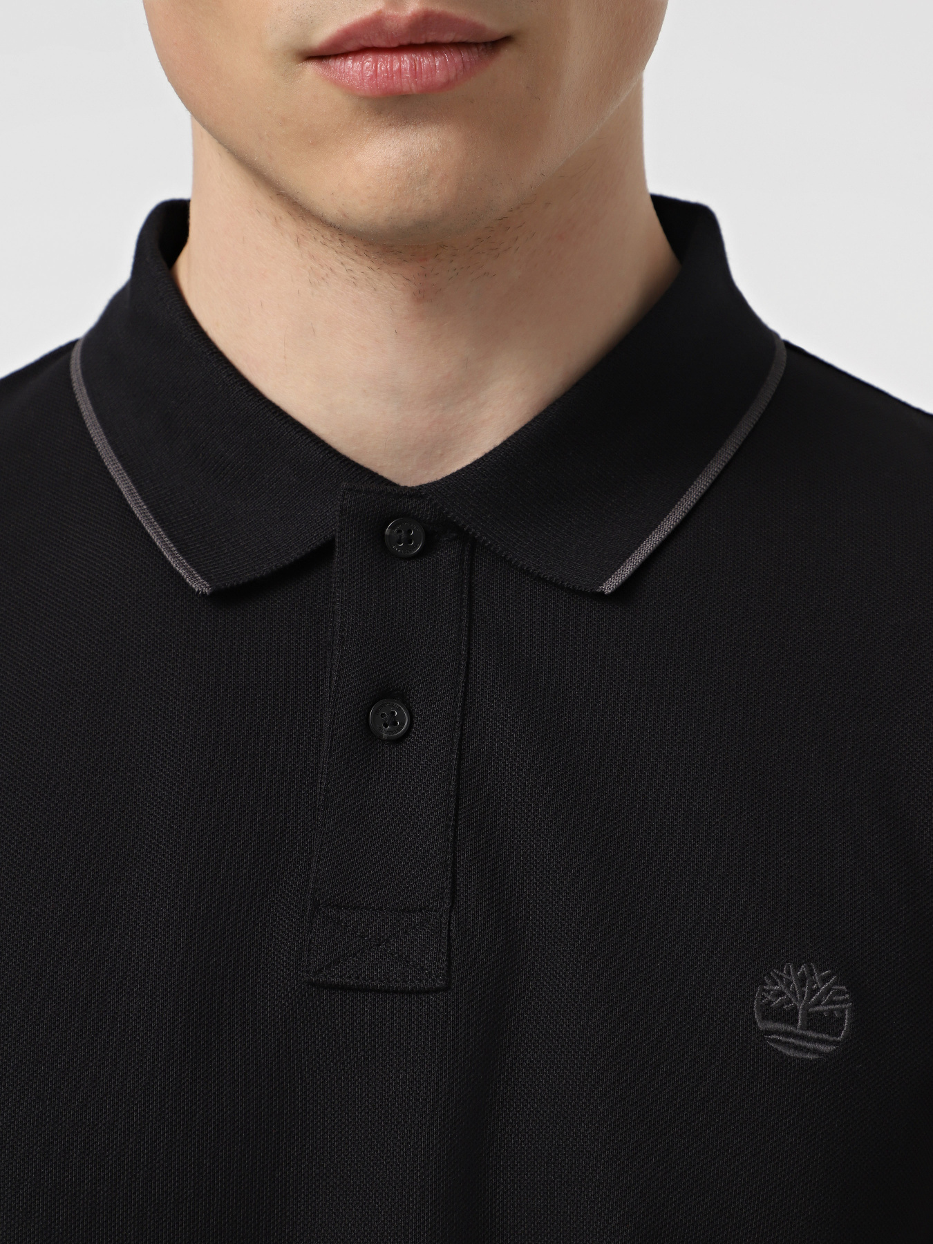 Поло Timberland Millers River модель TB0A6BV8001 Поло Timberland Millers River модель TB0A6BV8001 Фото