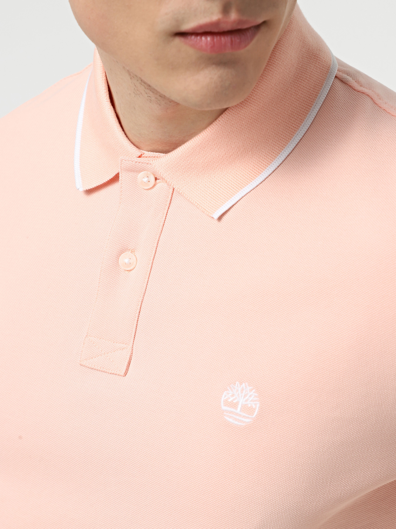 Поло Timberland Millers River модель TB0A6BV8ERV Фото