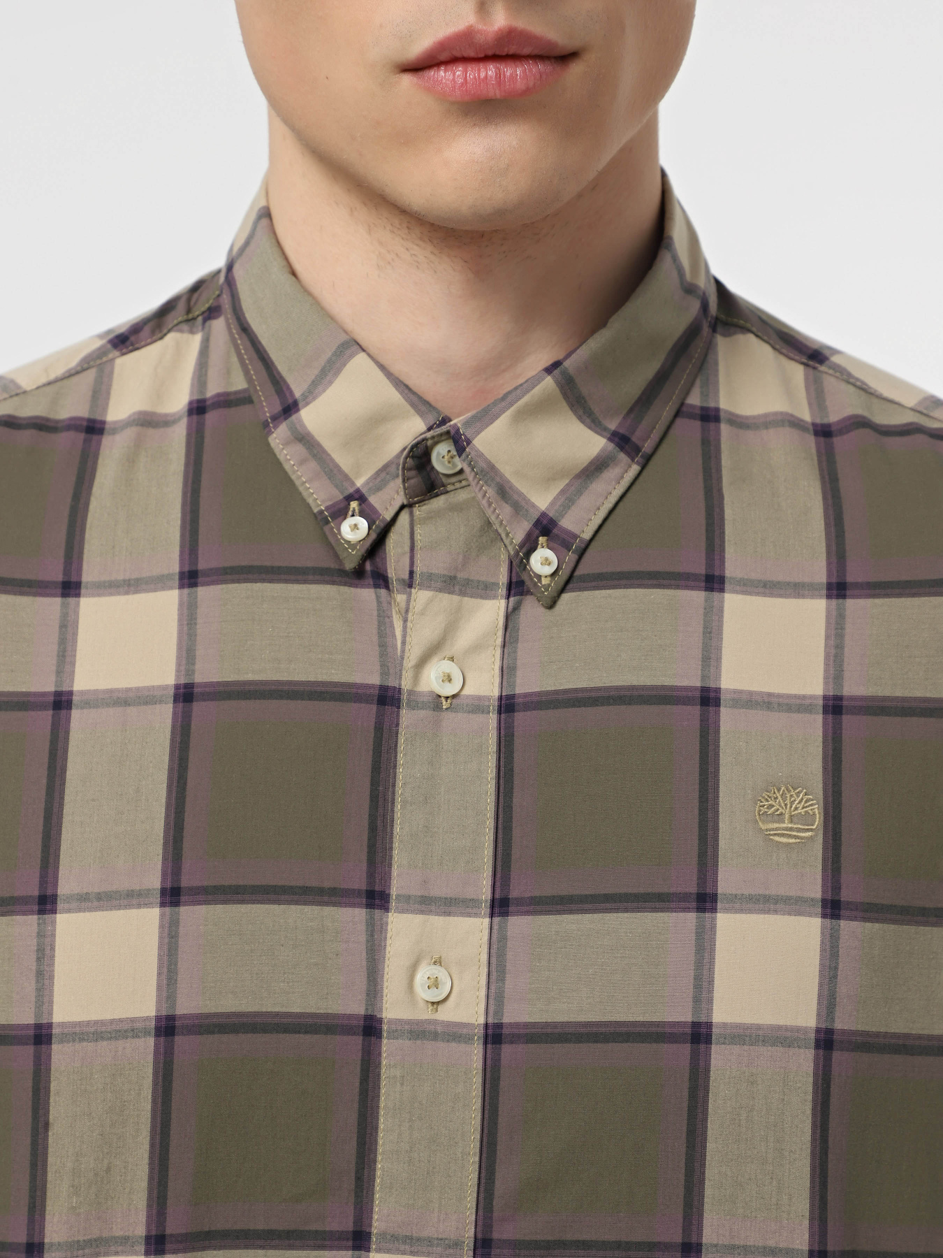 Сорочка Timberland Lemon Pepper Yd модель TB0A68K7EJ5 Фото