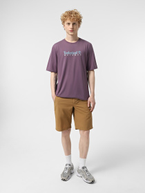 Футболка Timberland Anti-UV Printed модель TB0A5SFXENX Фото