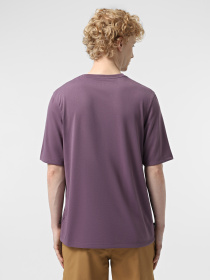 Футболка Timberland Anti-UV Printed модель TB0A5SFXENX Фото