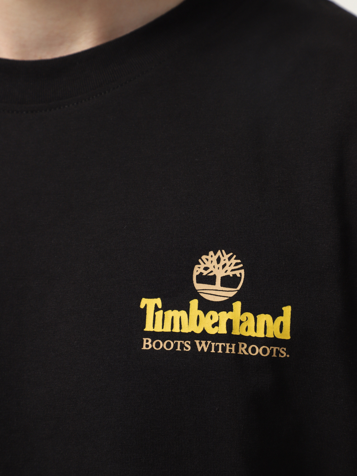 Футболка Timberland Illustrated Tree Logo Back Graphic модель TB0A6DG5001 Фото