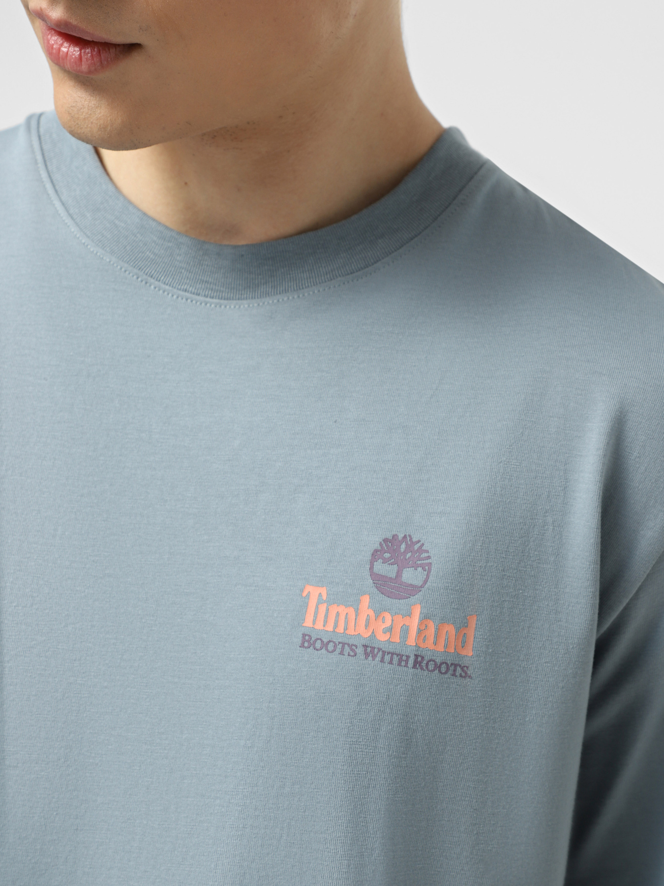Футболка Timberland Illustrated Tree Logo Back Graphic модель TB0A6DG5758 Фото