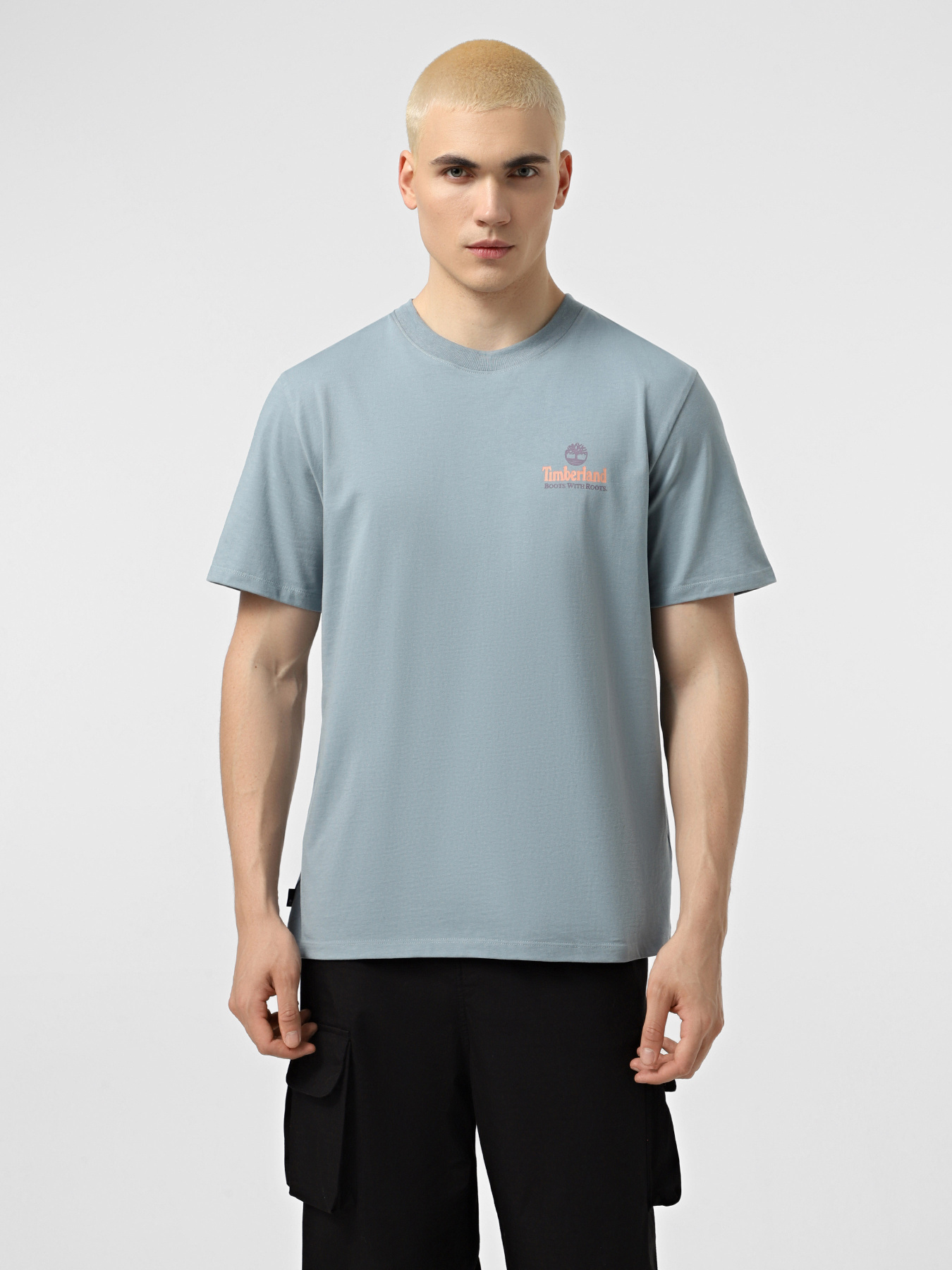 Футболка Timberland Illustrated Tree Logo Back Graphic модель TB0A6DG5758 Фото