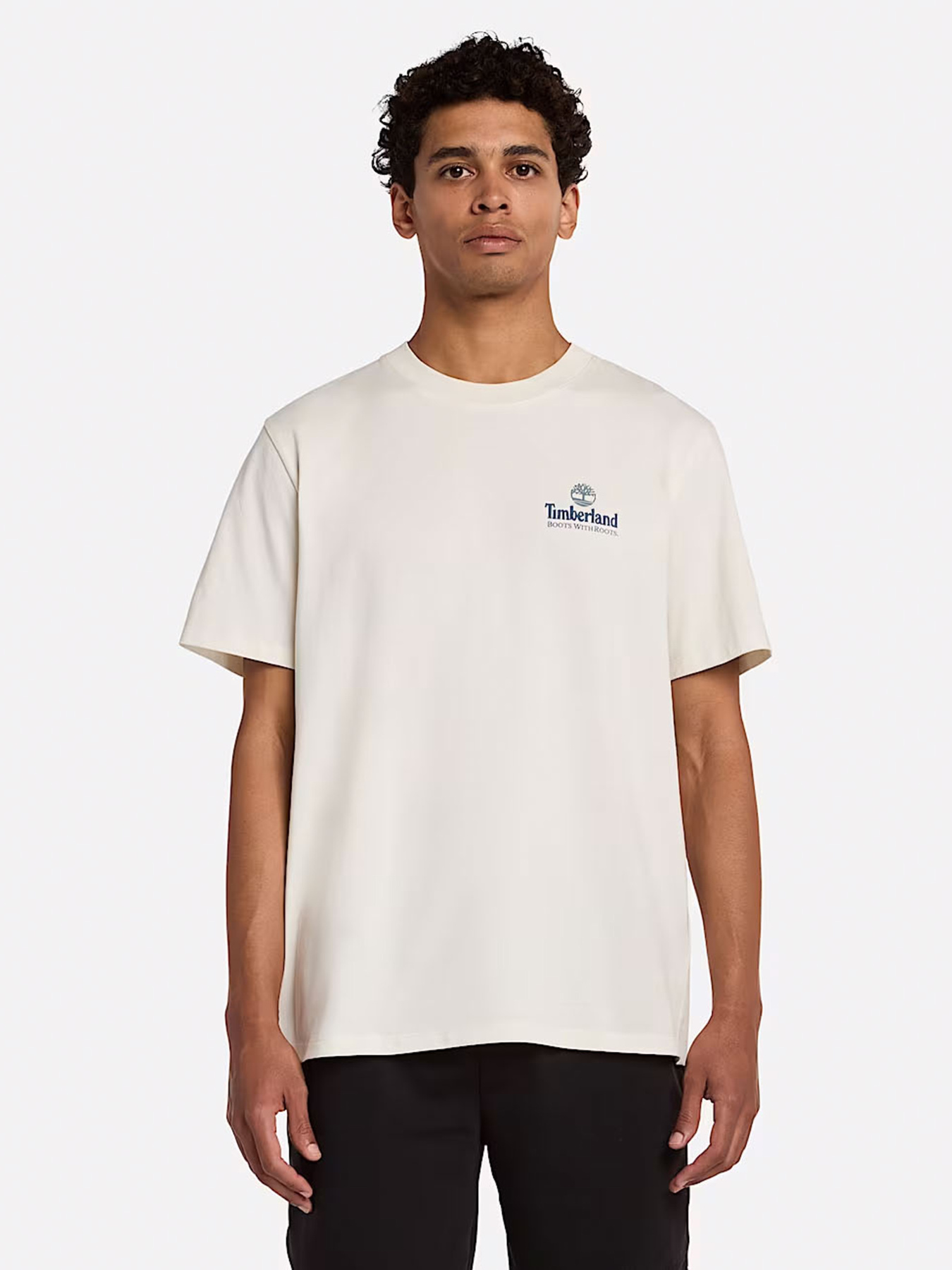Футболка Timberland Illustrated Tree Logo Back Graphic модель TB0A6DG5CM9 Фото