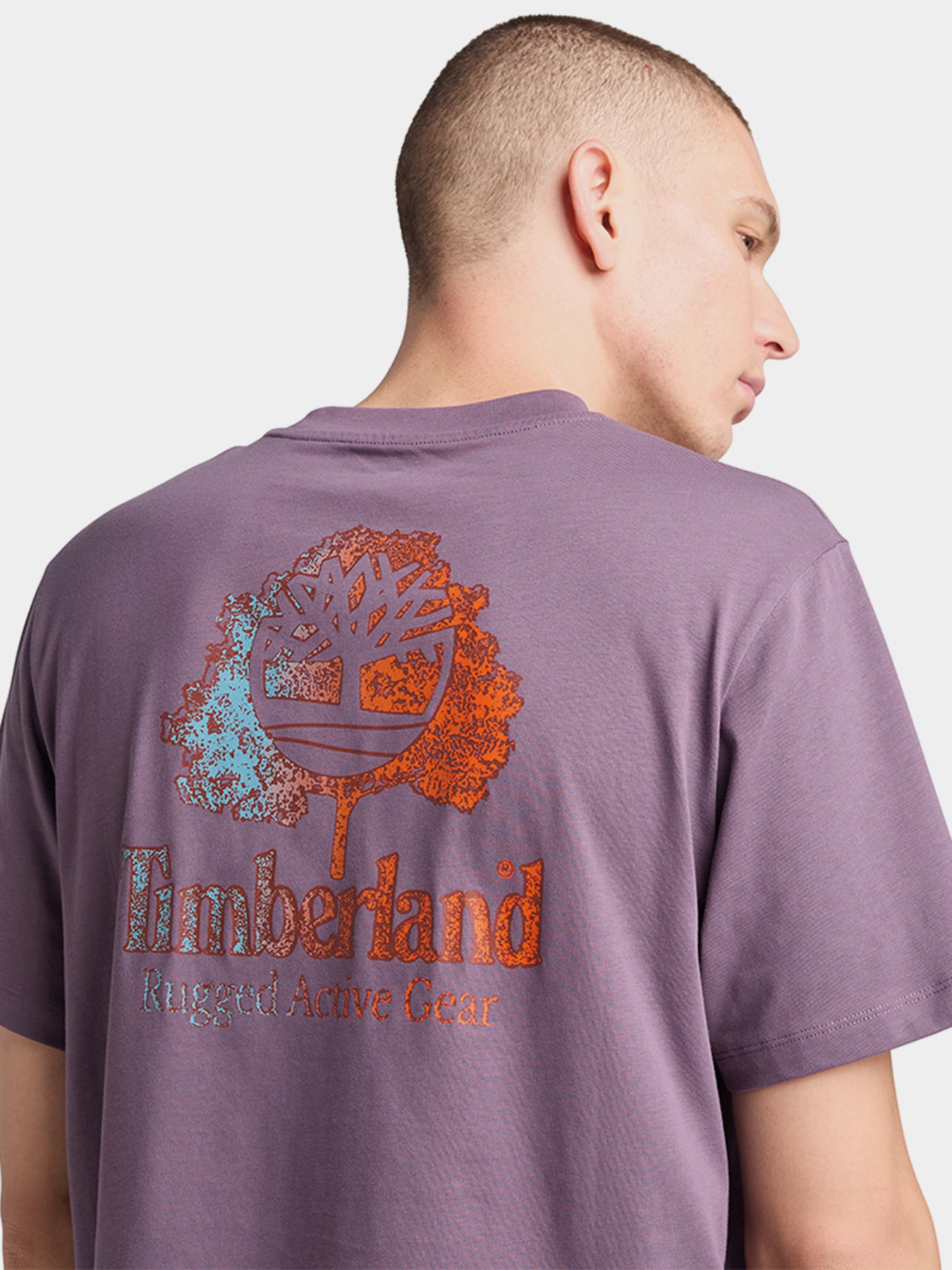 Футболка Timberland Rugged Active Gear Back Graphic модель TB0A6DMAENX Фото