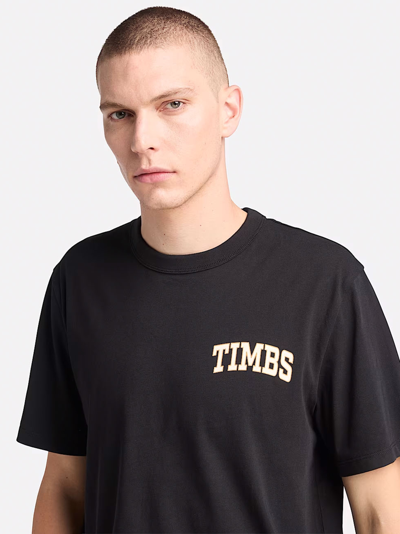 Футболка Timberland TIMBS Graphic модель TB0A6GP3001 Фото
