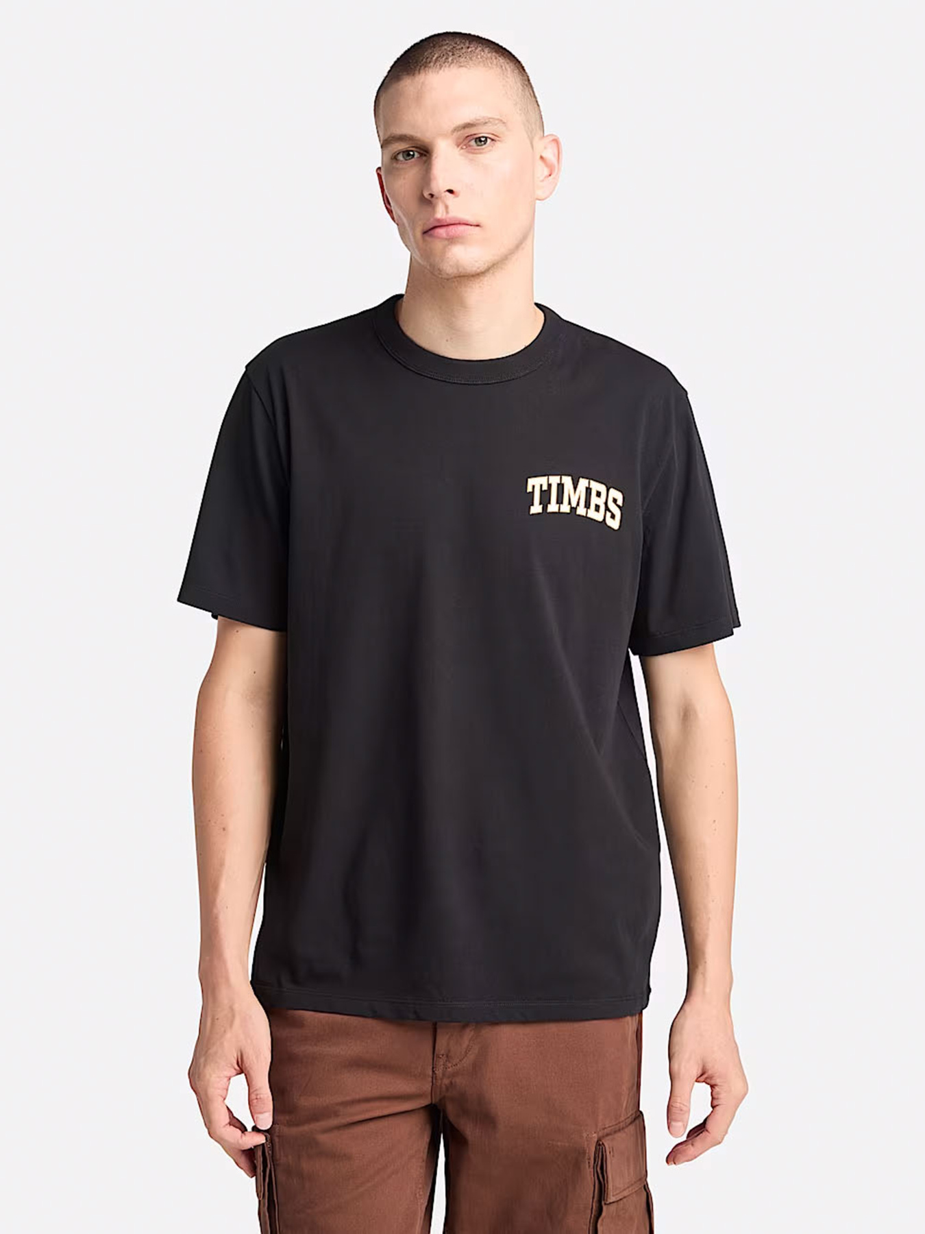 Футболка Timberland TIMBS Graphic модель TB0A6GP3001 Фото
