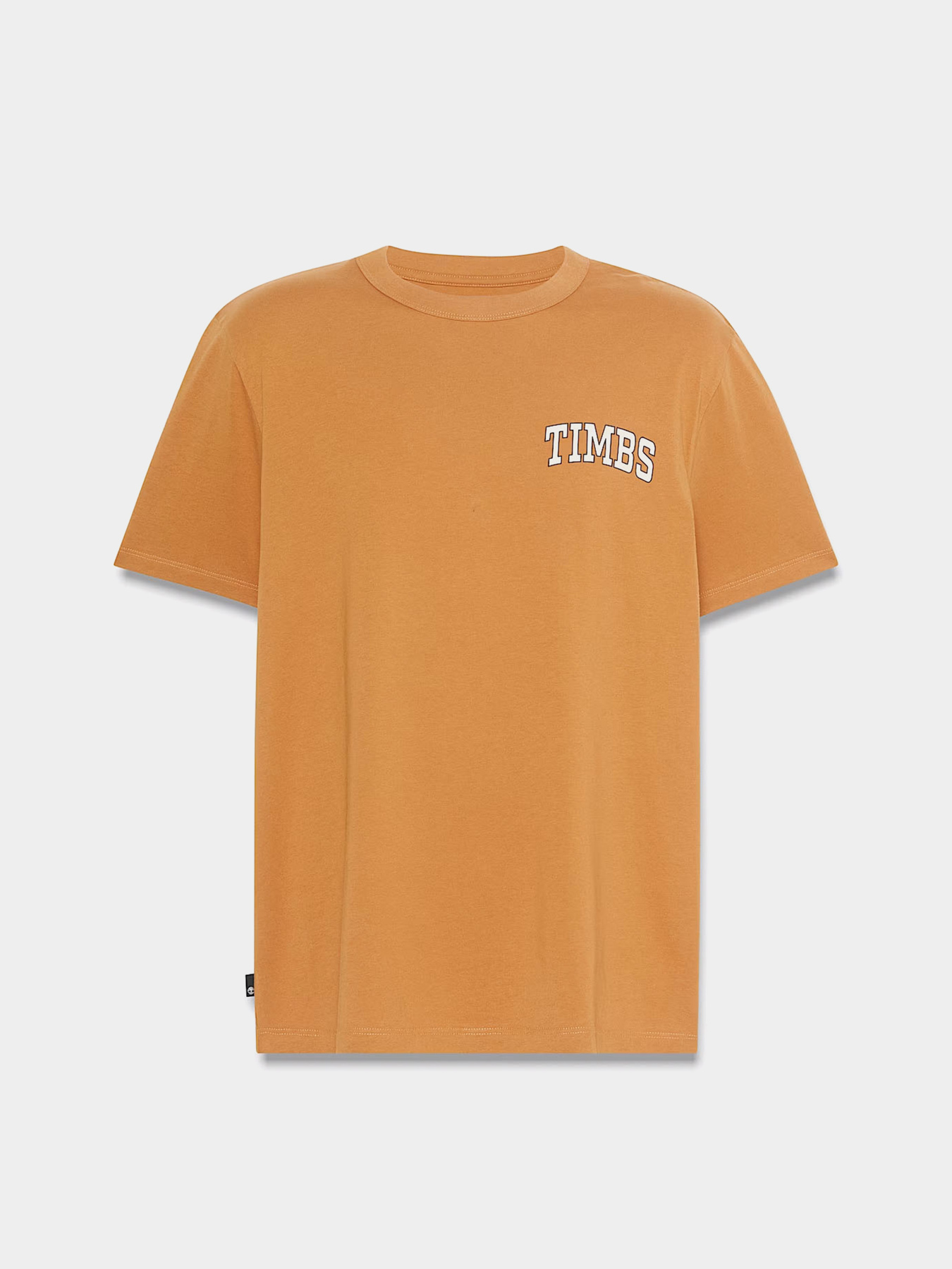 Футболка Timberland TIMBS Graphic модель TB0A6GP3P47 Фото