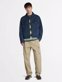 Футболка Timberland Striped модель TB0A6DT5J20 Фото