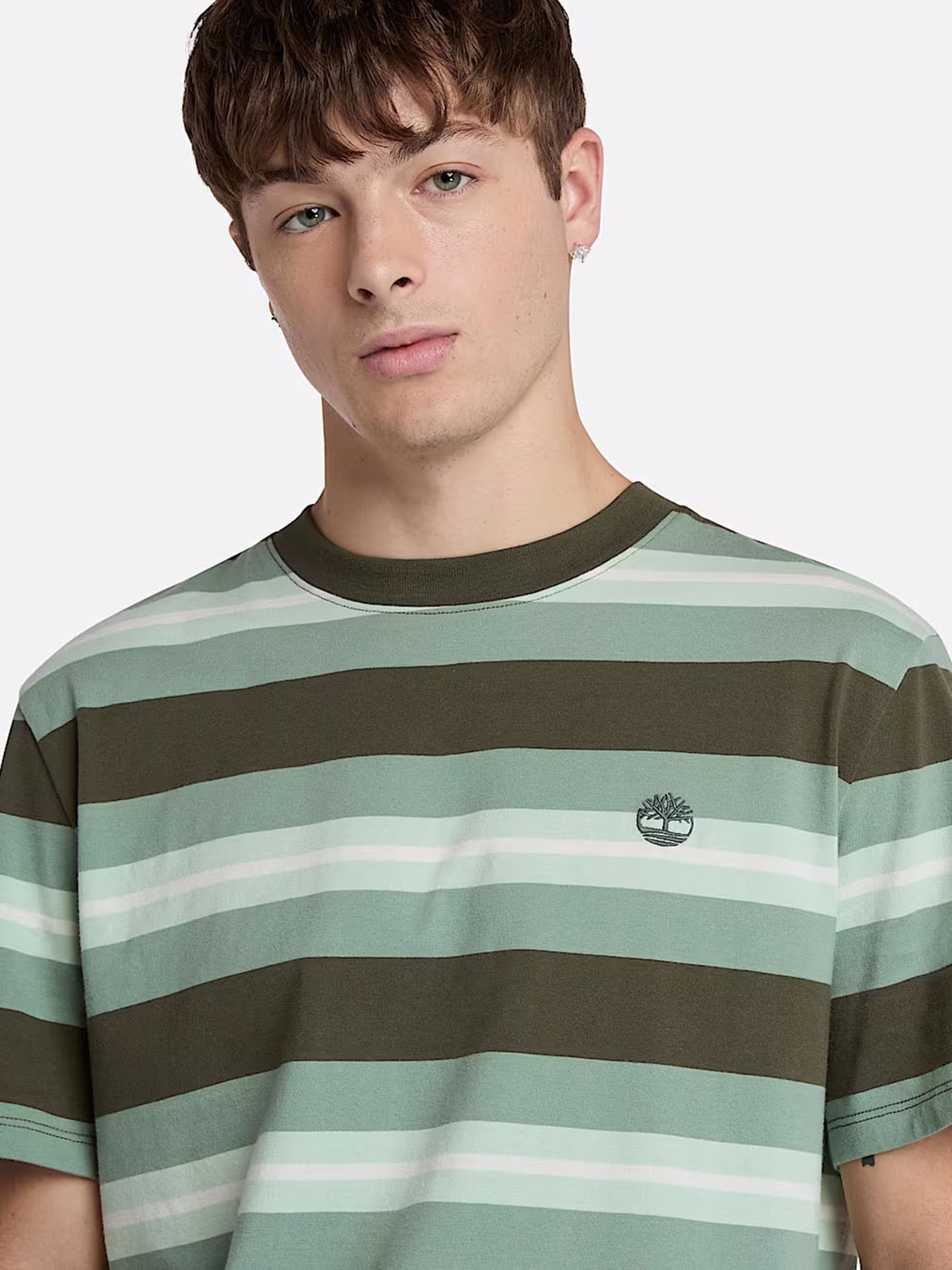 Футболка Timberland Striped модель TB0A6DT5J20 Фото