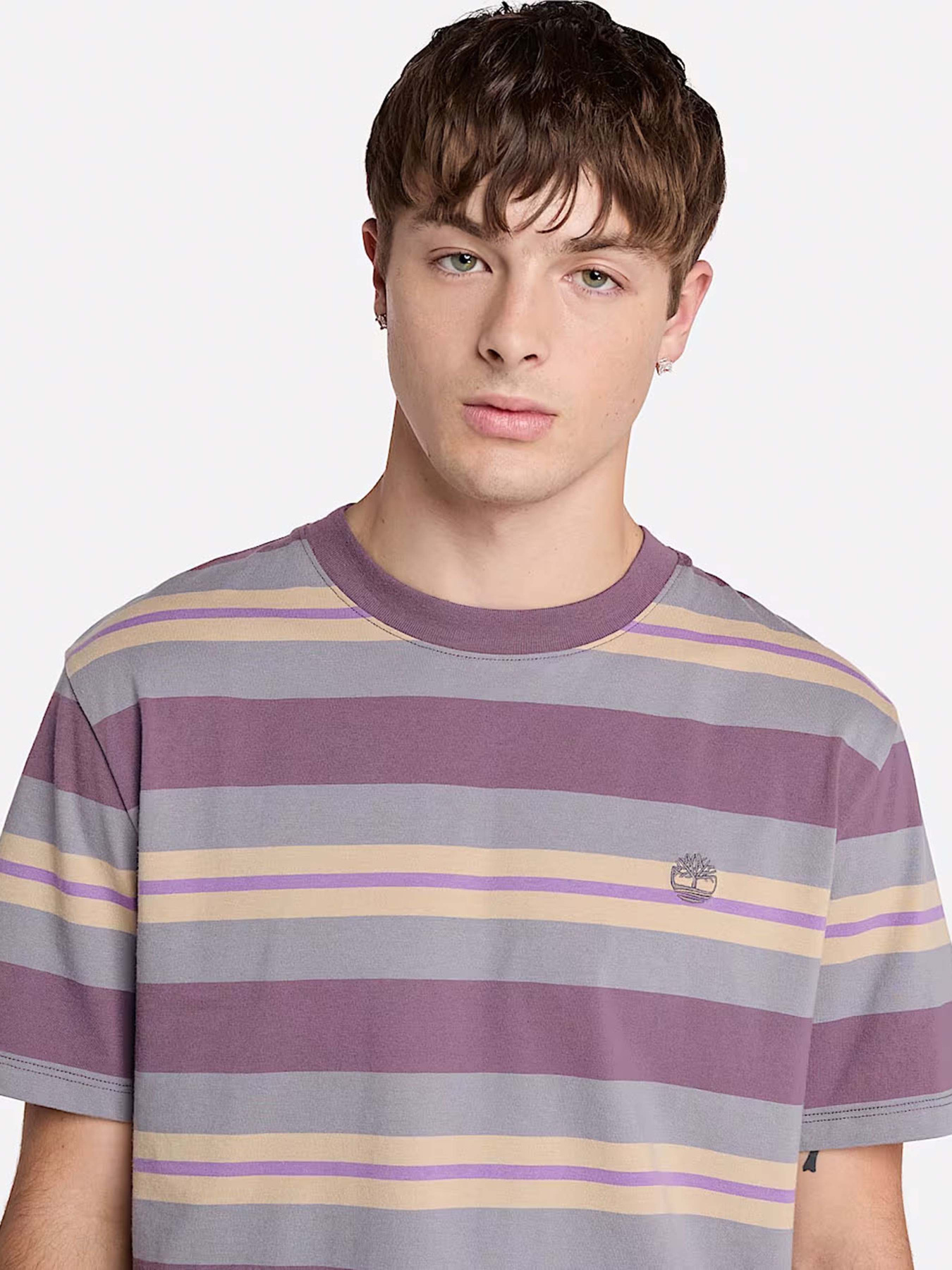 Футболка Timberland Striped модель TB0A6DT5EOF Фото
