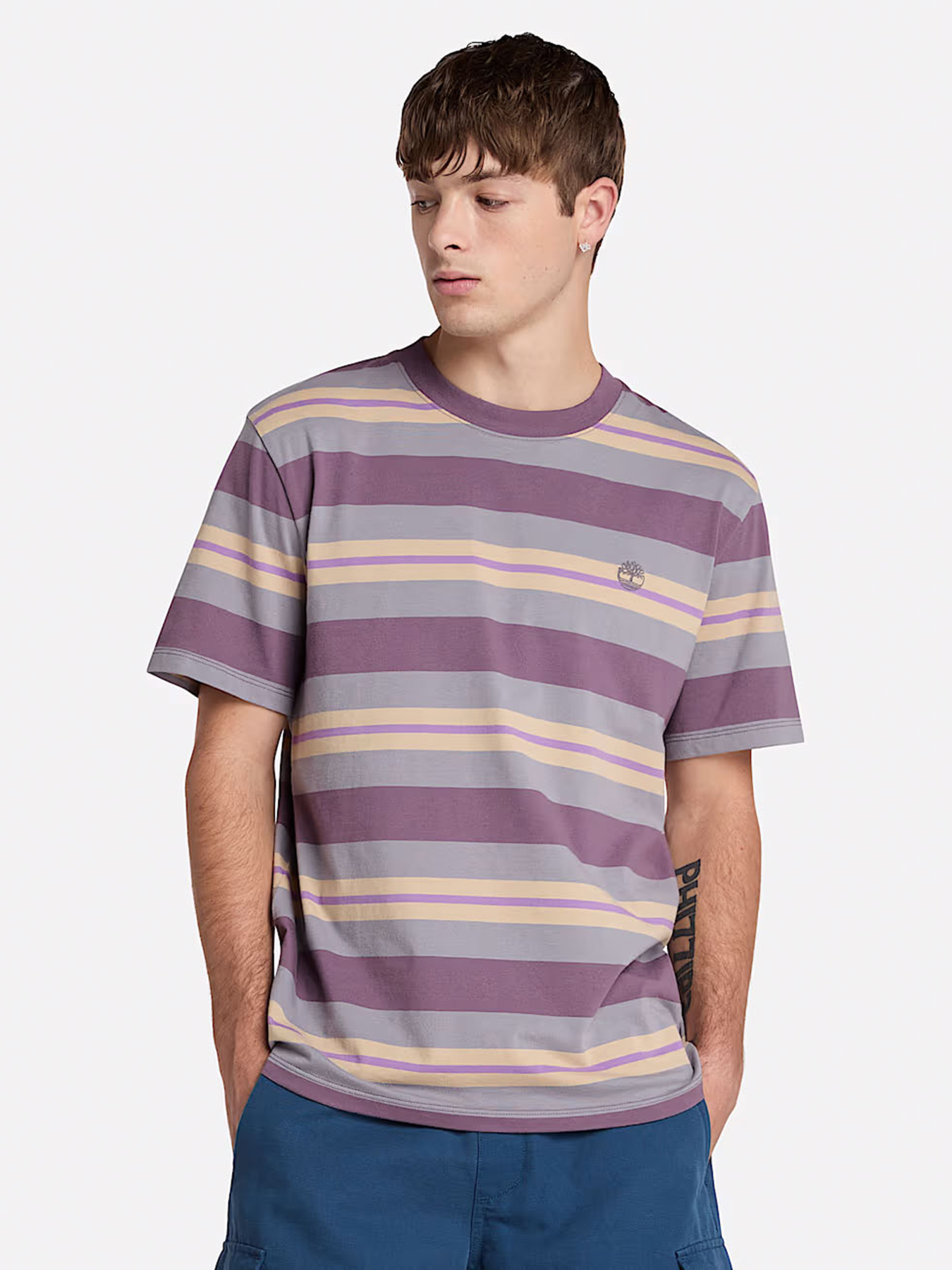 Футболка Timberland Striped модель TB0A6DT5EOF Фото