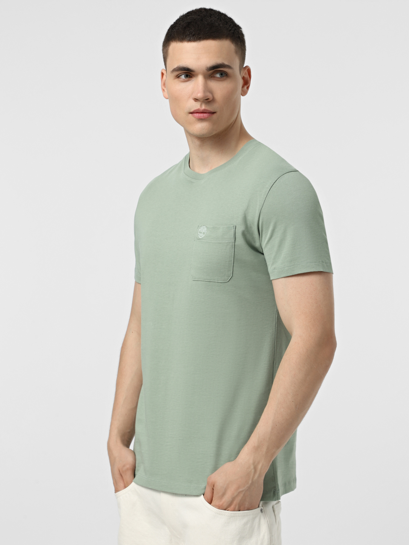 Футболка Timberland Dunstan River модель TB0A2CQYEC6 Фото