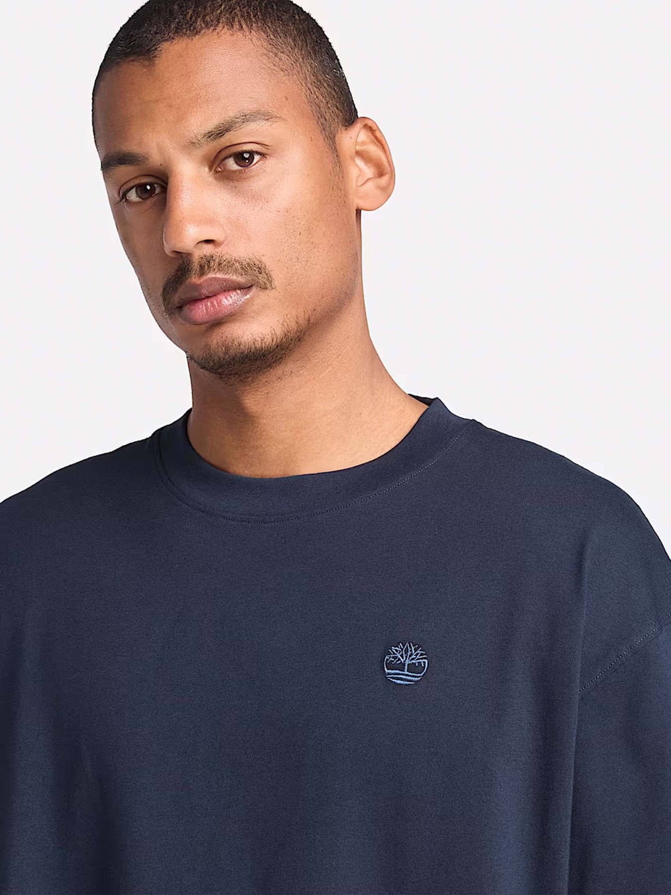 Футболка Timberland Dunstan River модель TB0A6GH3433 Фото