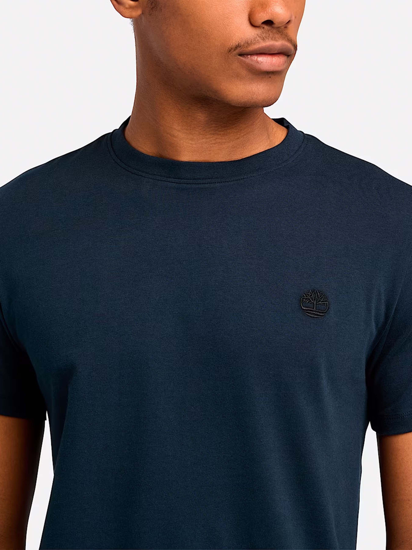 Футболка Timberland Dunstan River модель TB0A2BPRZ02 Фото