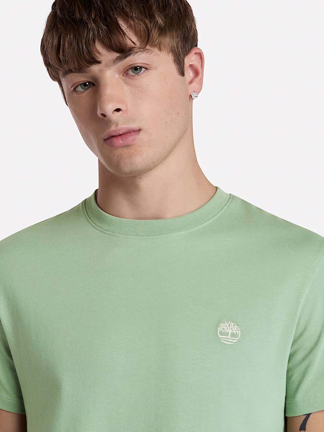 Футболка Timberland Dunstan River модель TB0A2BPREC6 Фото