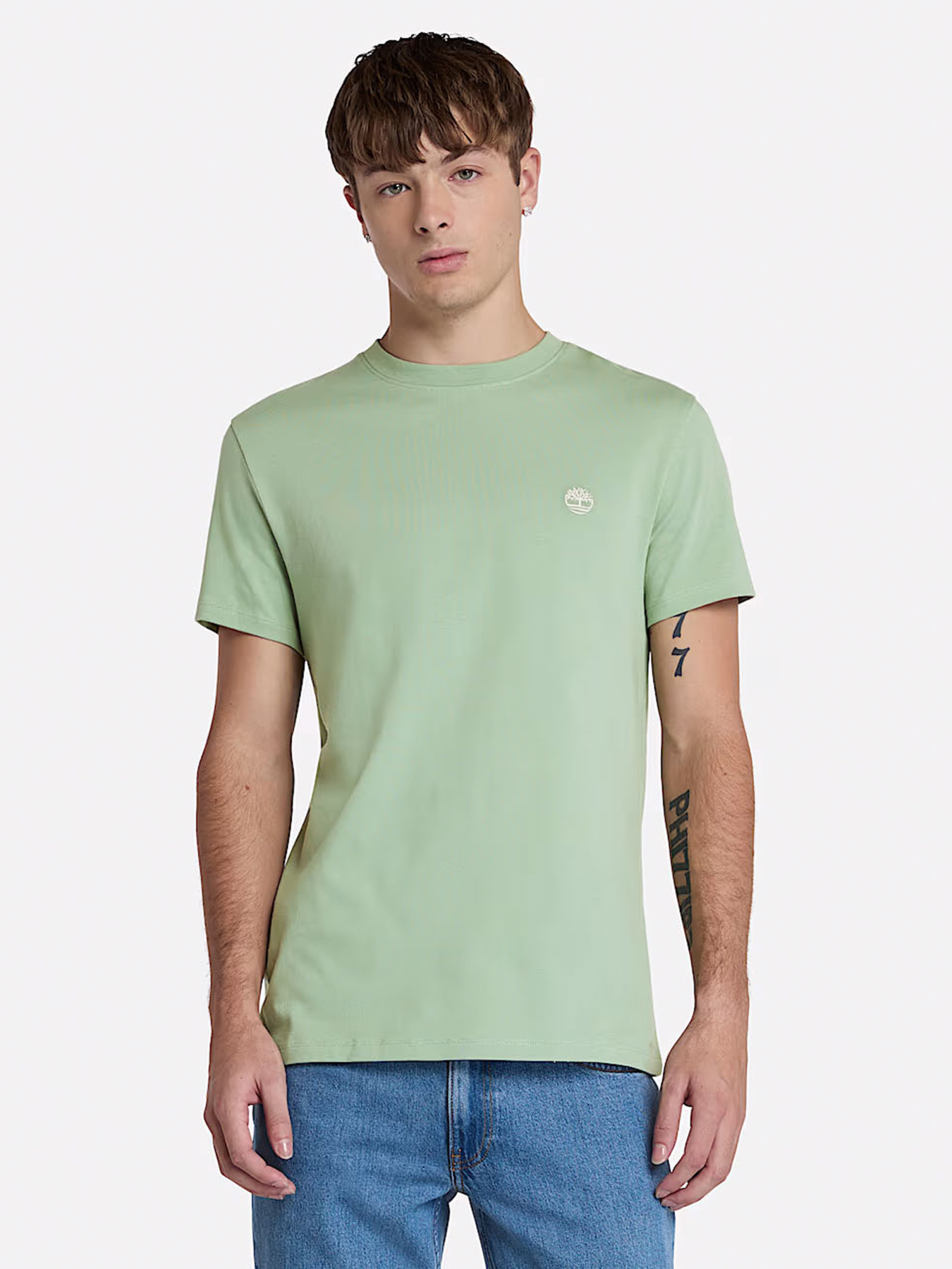 Футболка Timberland Dunstan River модель TB0A2BPREC6 Фото