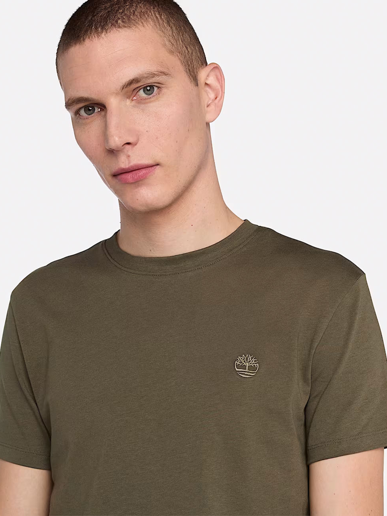 Футболка Timberland Dunstan River модель TB0A2BPRAR5 Фото