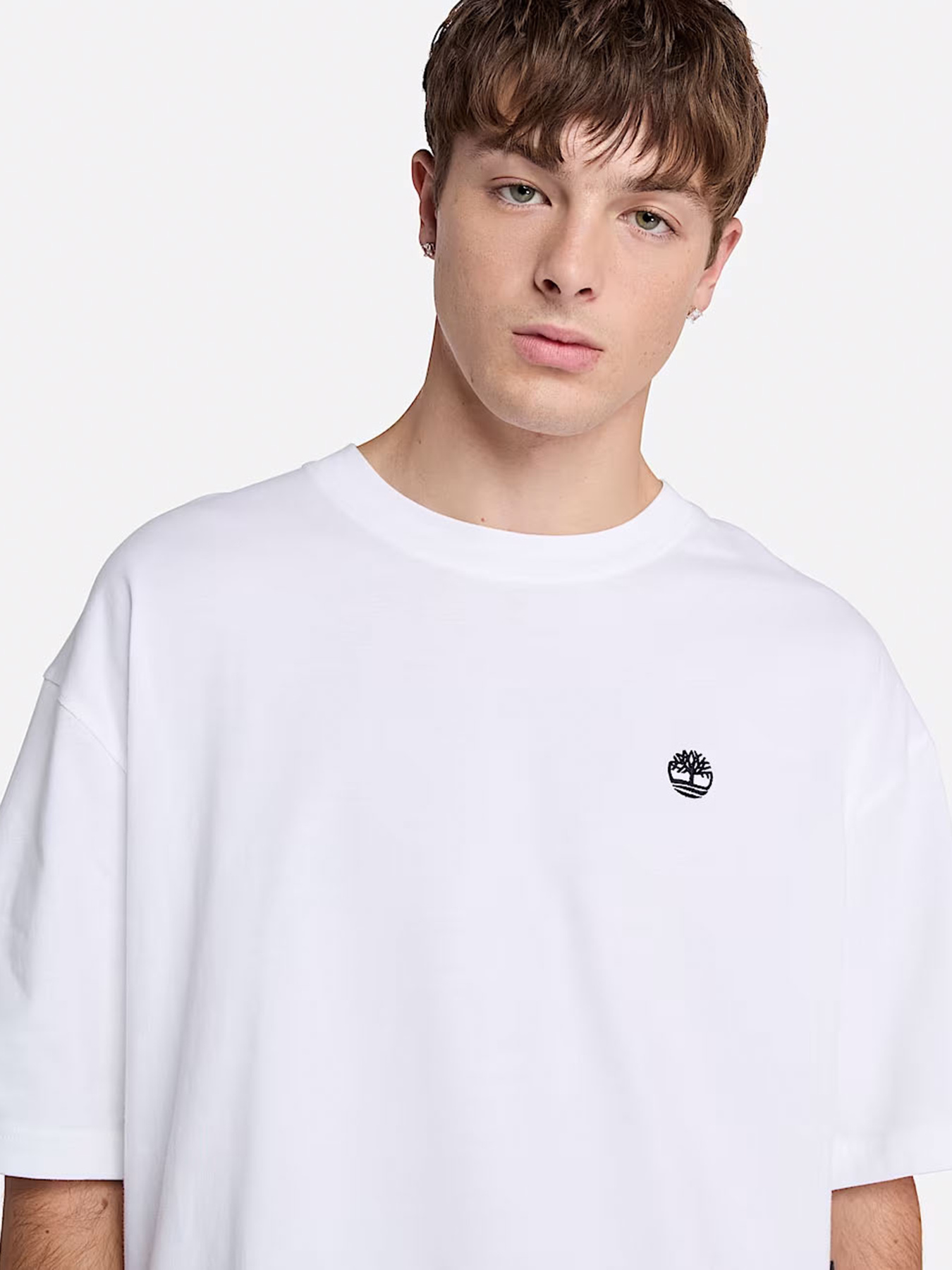 Футболка Timberland Dunstan River модель TB0A6GH3100 Фото