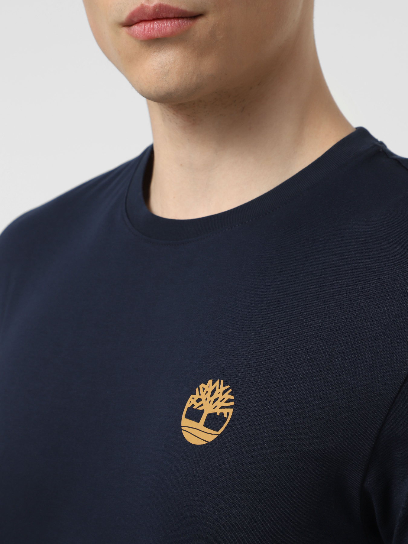 Футболка Timberland Kennebec River Back Camo Tree Logo модель TB0A2FKZ433 Фото