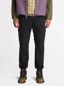 Джоггеры Timberland Nylon модель TB0A68QK001 Фото