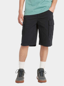 Повседневные шорты Timberland Brookline Twill модель TB0A5U1B001 Фото