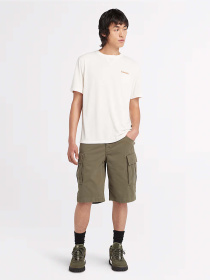 Шорты Timberland Brookline Twill модель TB0A5U1BA58 Фото