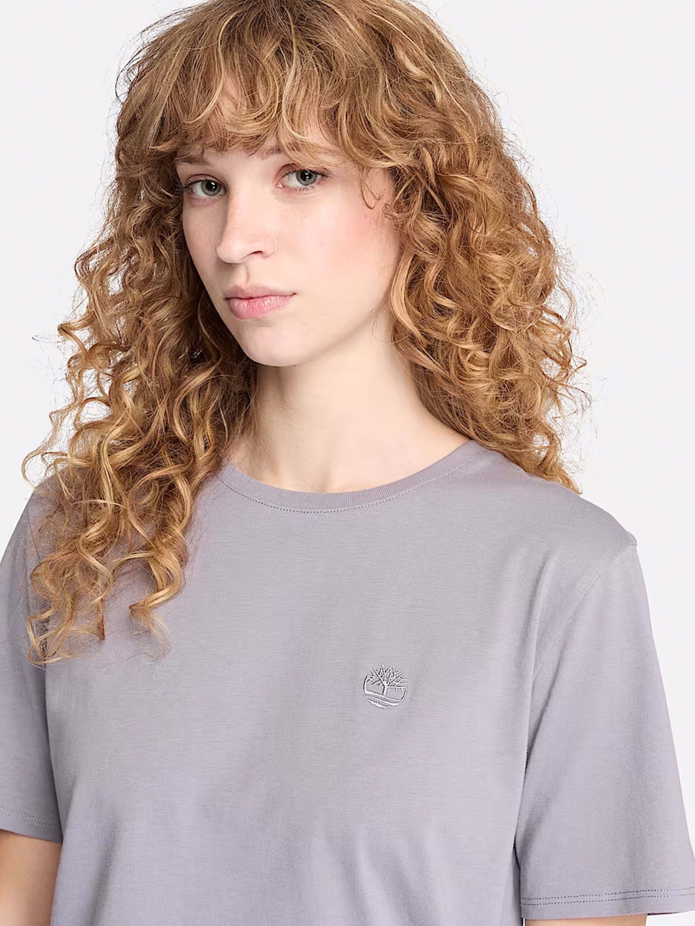 Футболка Timberland Dunstan модель TB0A6ATEEOM Фото