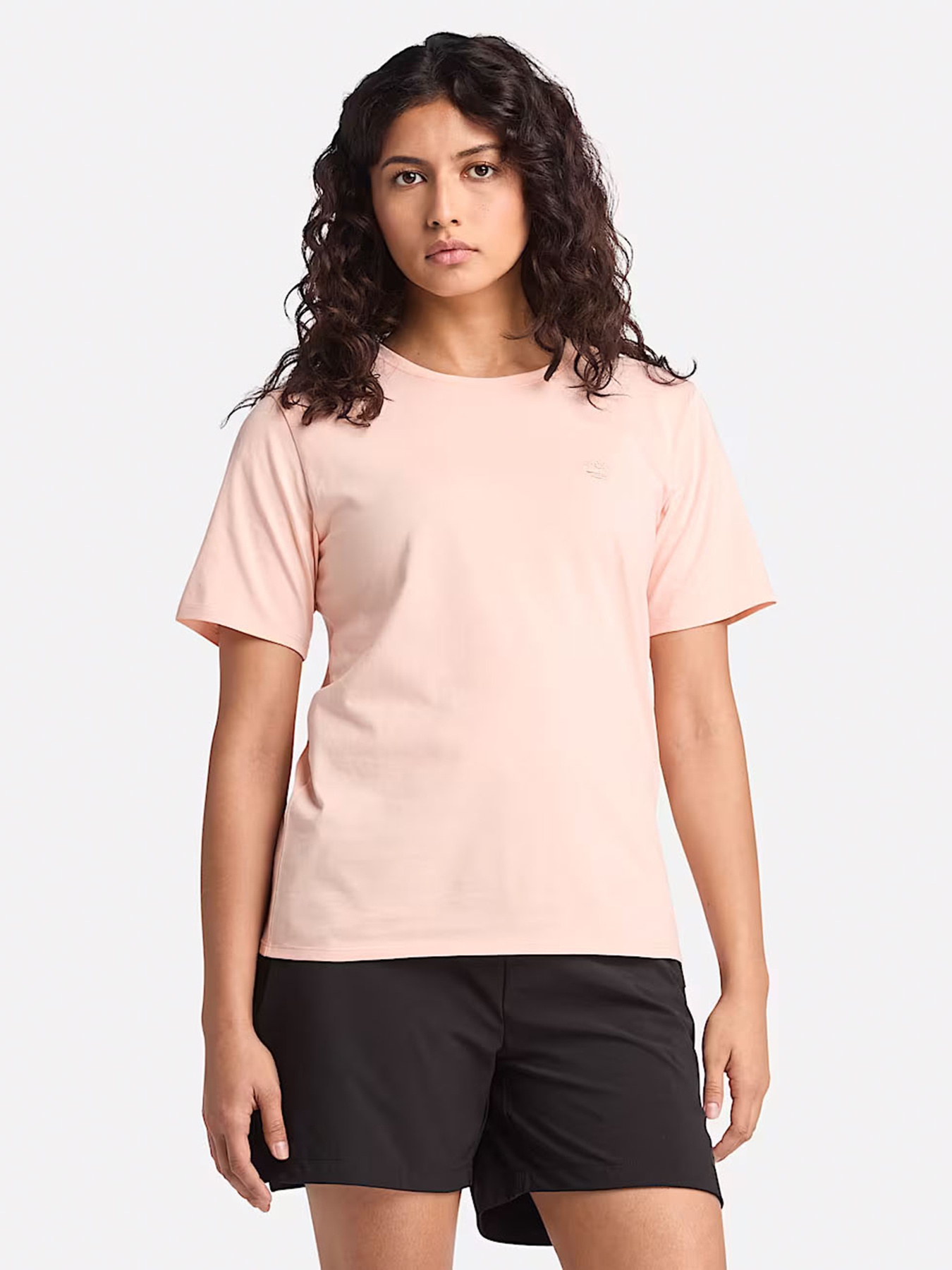 Футболка Timberland Dunstan модель TB0A6ATEERV Футболка Timberland Dunstan модель TB0A6ATEERV Фото