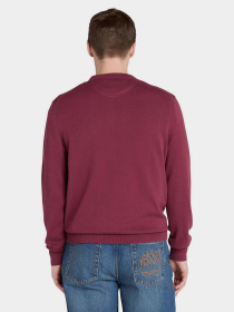 Свитер Timberland Williams River модель TB0A2BMM648 Фото