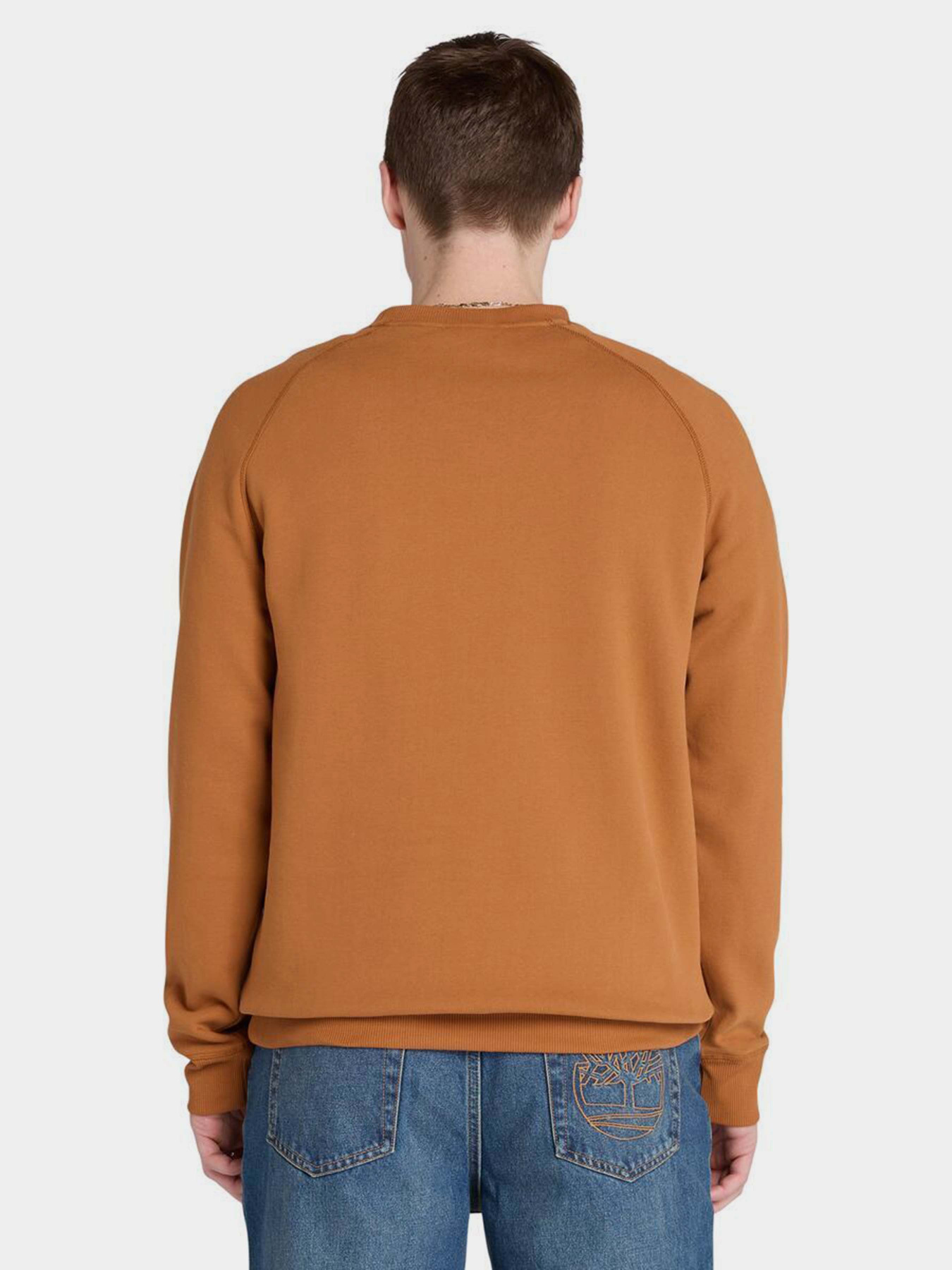 Свитшот Timberland Exeter River модель TB0A2BNKC39 Фото