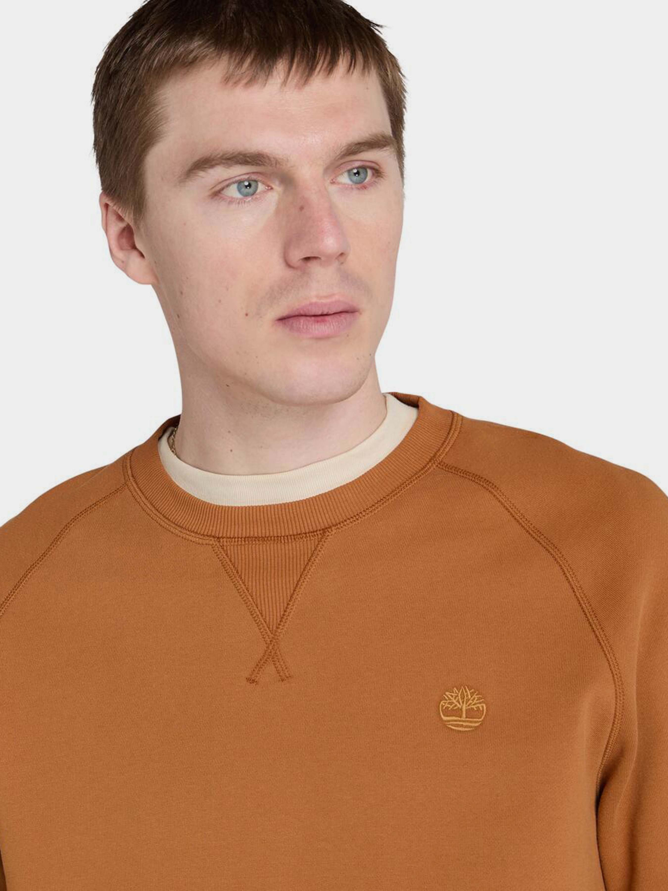 Свитшот Timberland Exeter River модель TB0A2BNKC39 Фото