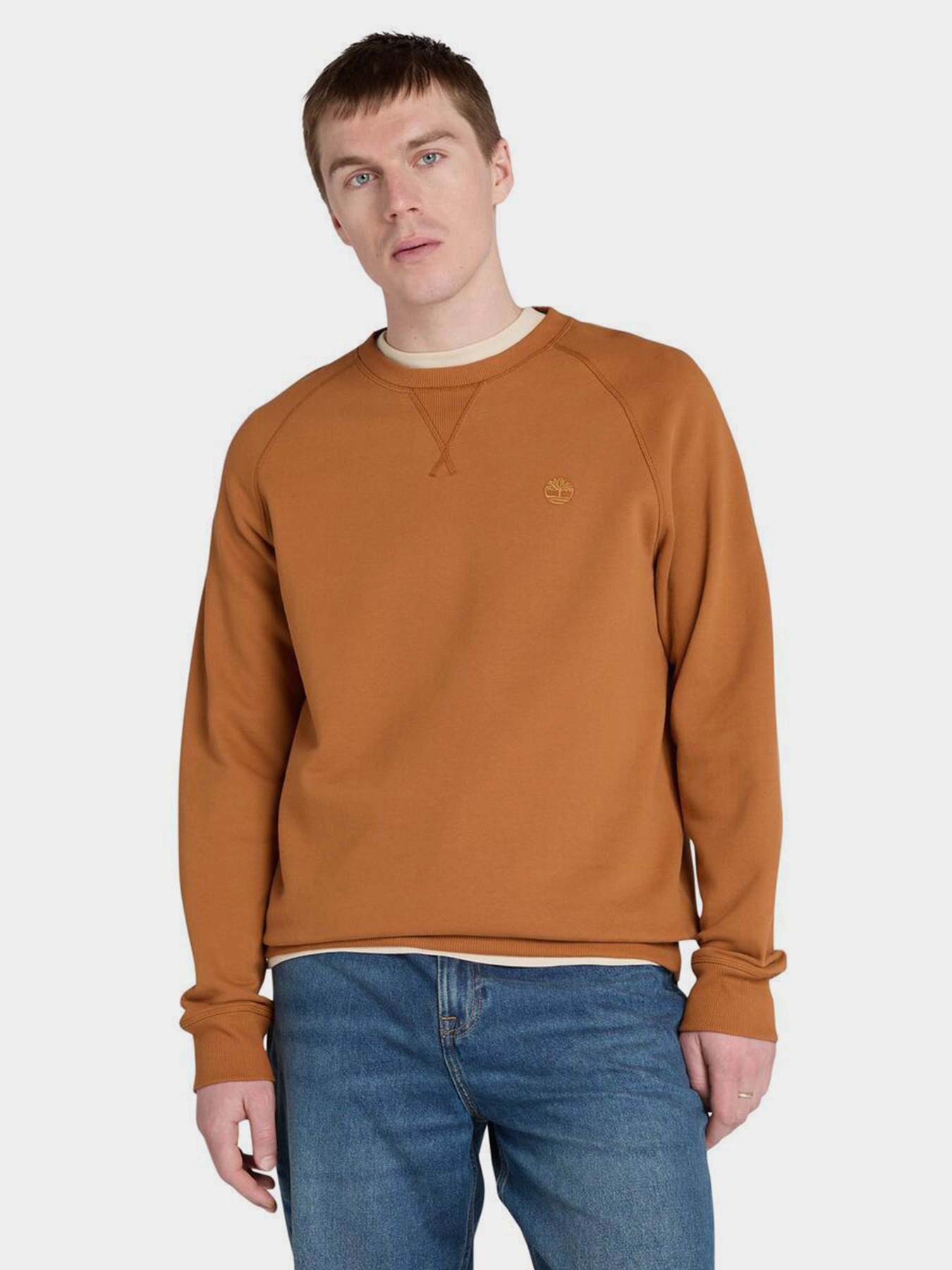 Світшот Timberland Exeter River модель TB0A2BNKC39 Фото