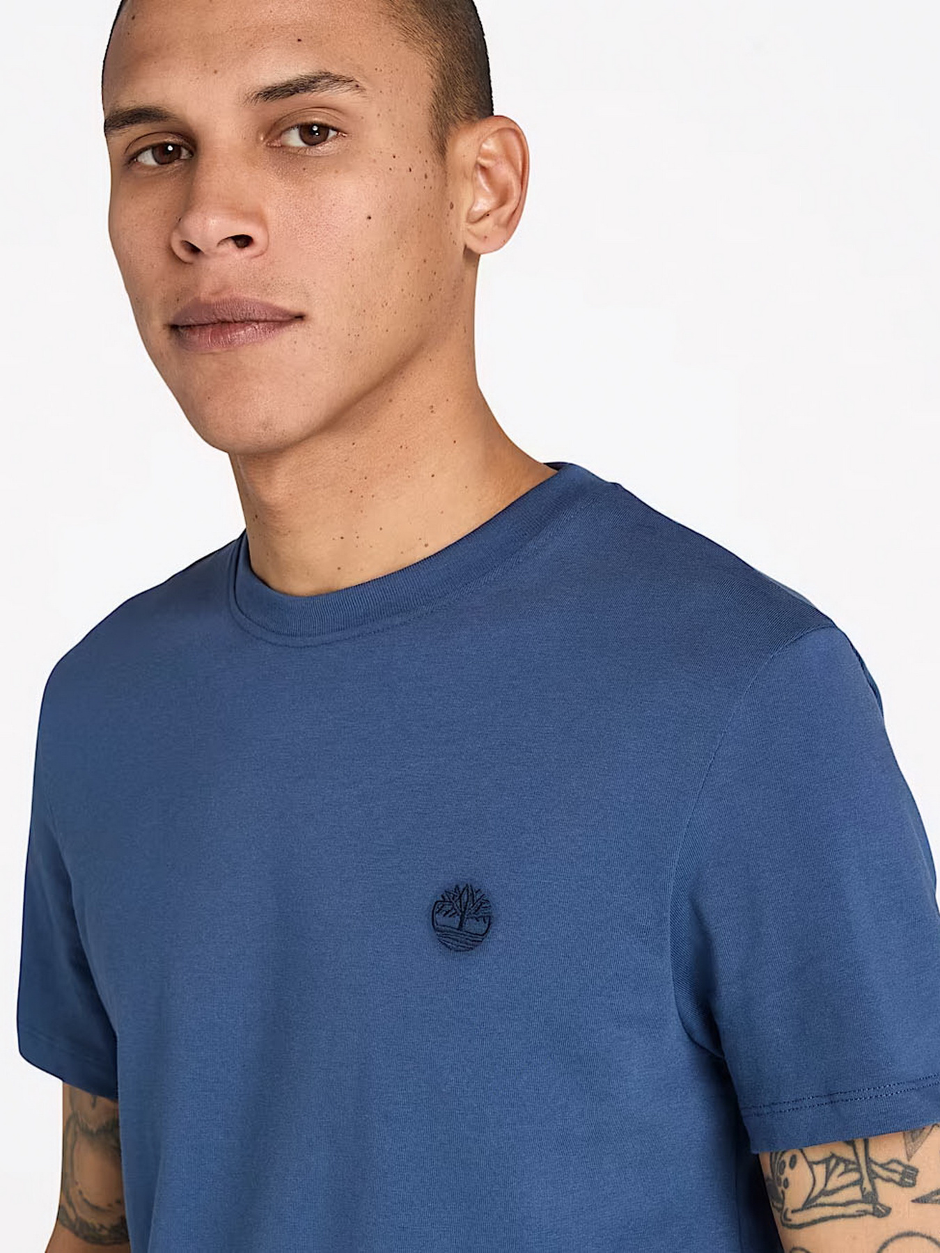 Футболка Timberland модель TB0A2BPREYO Фото