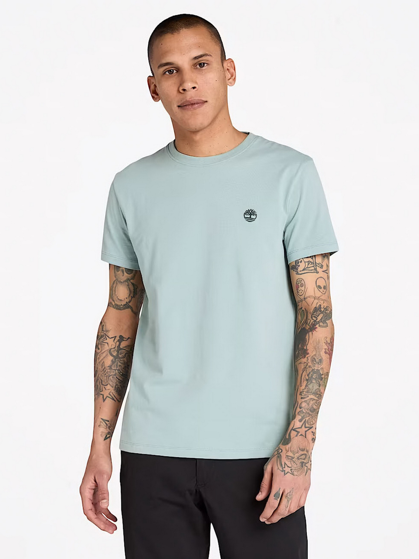 Футболка Timberland модель TB0A2BPREYM Фото