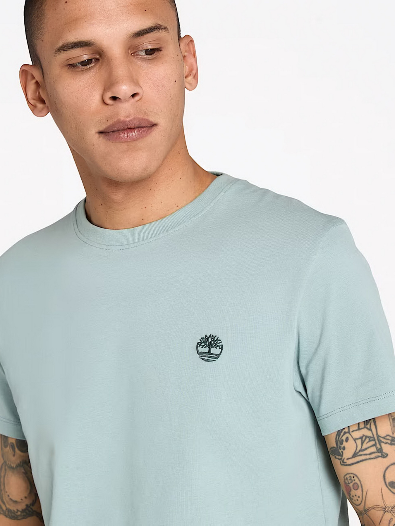 Футболка Timberland модель TB0A2BPREYM Фото