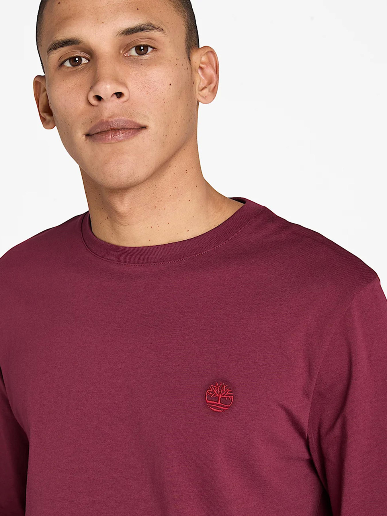 Лонгслив Timberland Dunstan River модель TB0A2BQ3648 Фото