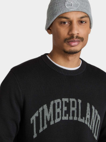 Светр Timberland Graphic модель TB0A5M9X001 Фото