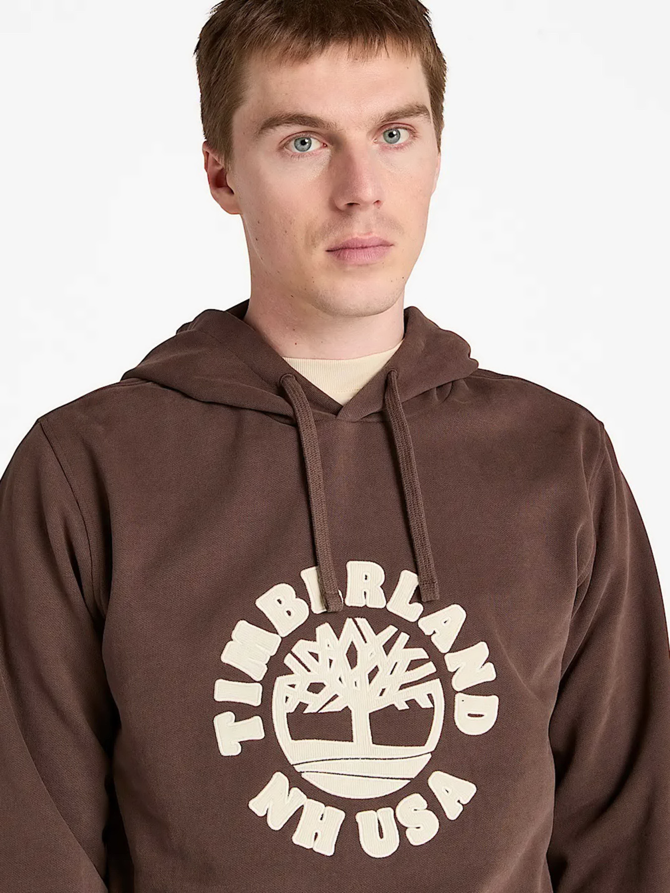 Худі Timberland модель TB0A5MBT243 Фото