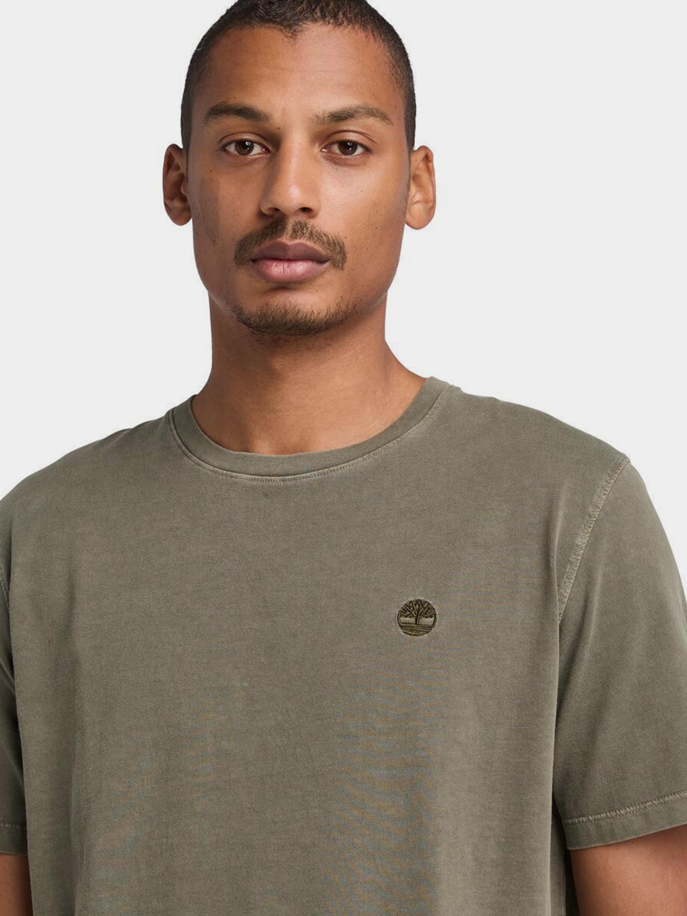 Футболка Timberland Dunstan River Garment Dye модель TB0A5YAYA58 Фото