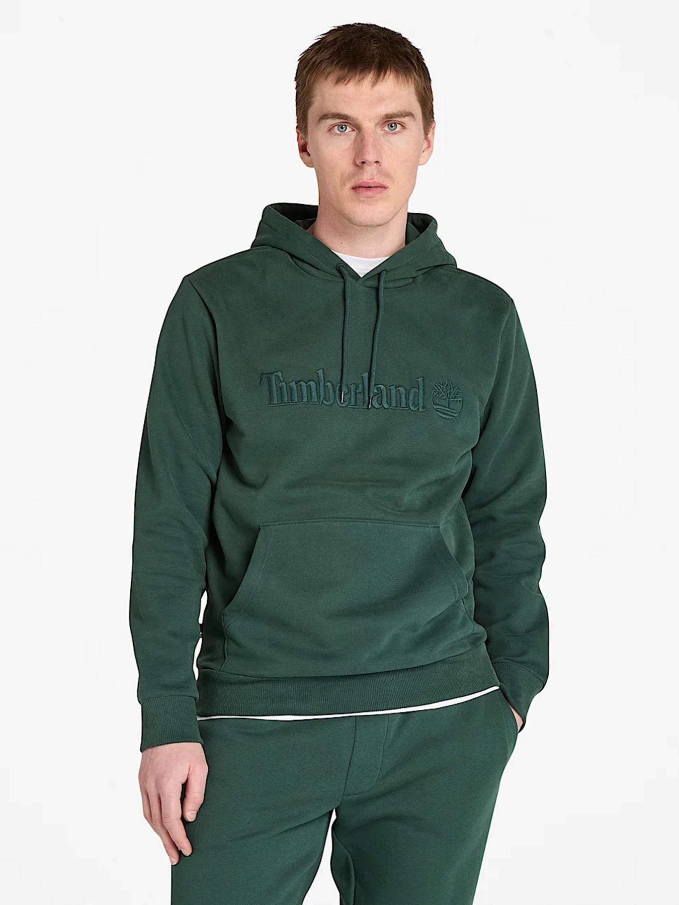 Худи Timberland Hampton модель TB0A6VFJ317 Фото