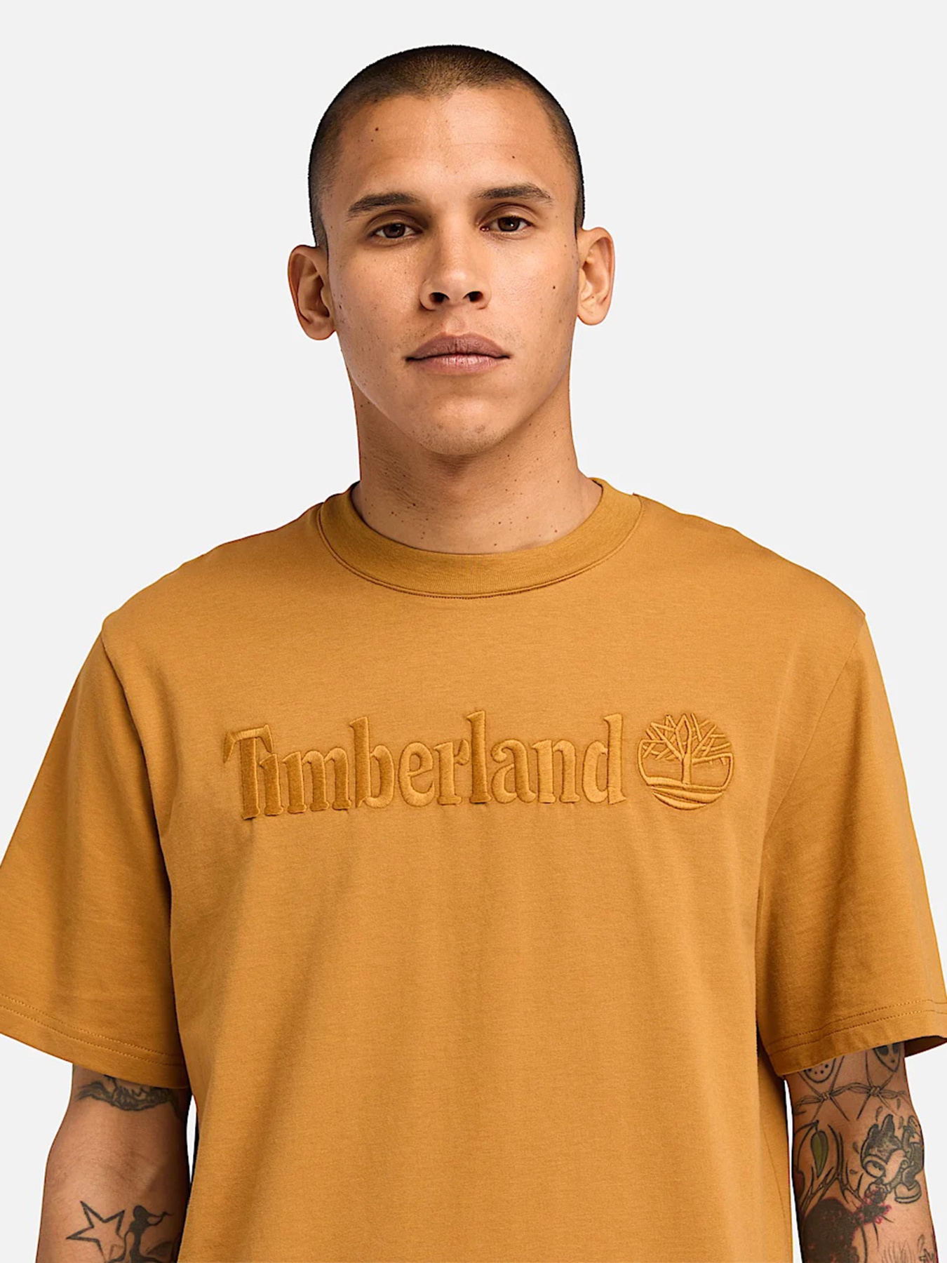 Футболка Timberland Hampton модель TB0A6VPEP47 Фото