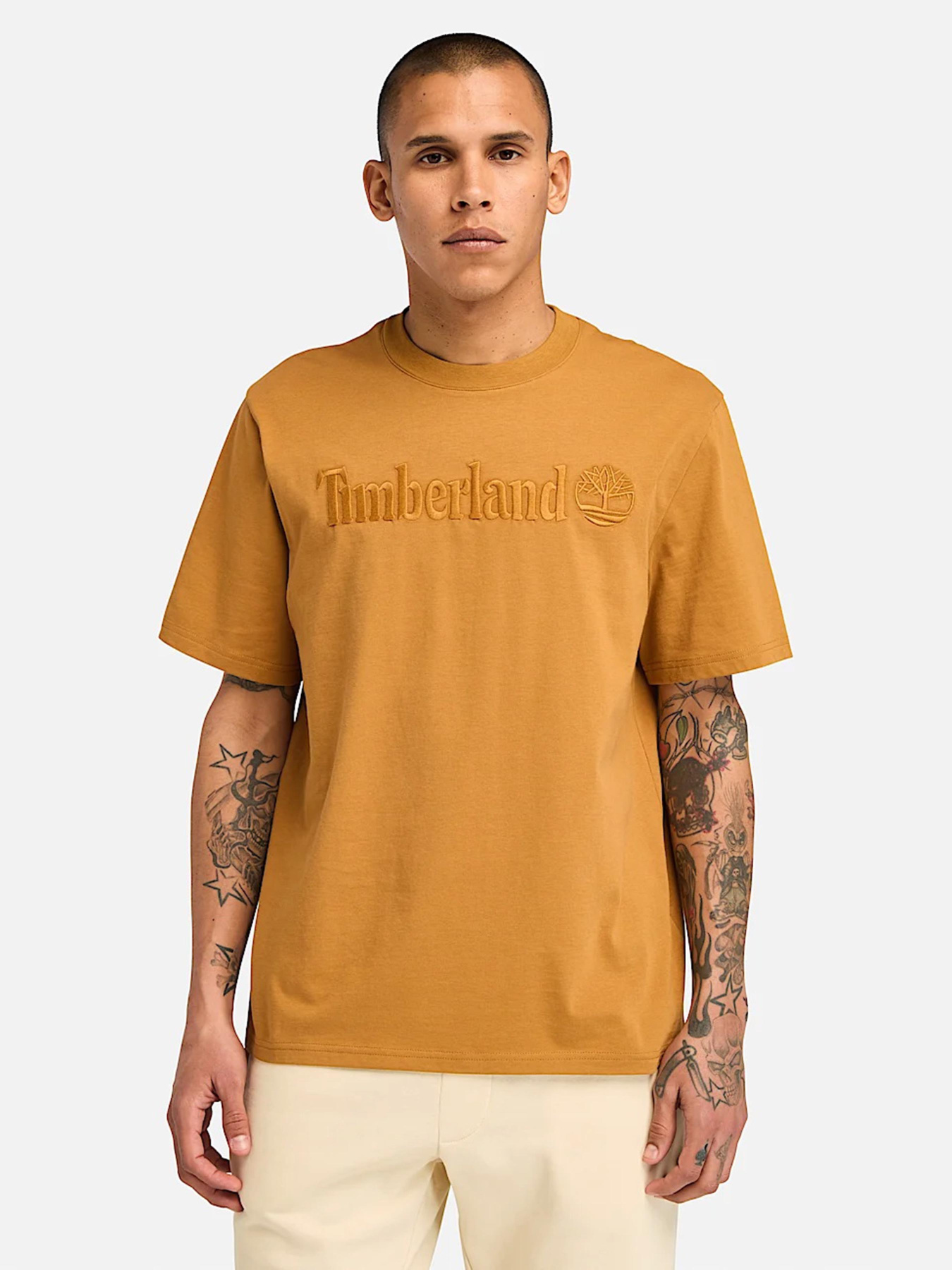 Футболка Timberland Hampton модель TB0A6VPEP47 Фото