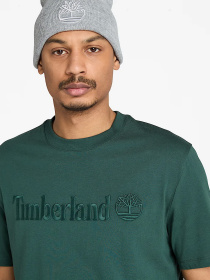 Футболка Timberland модель TB0A6VPE317 Фото