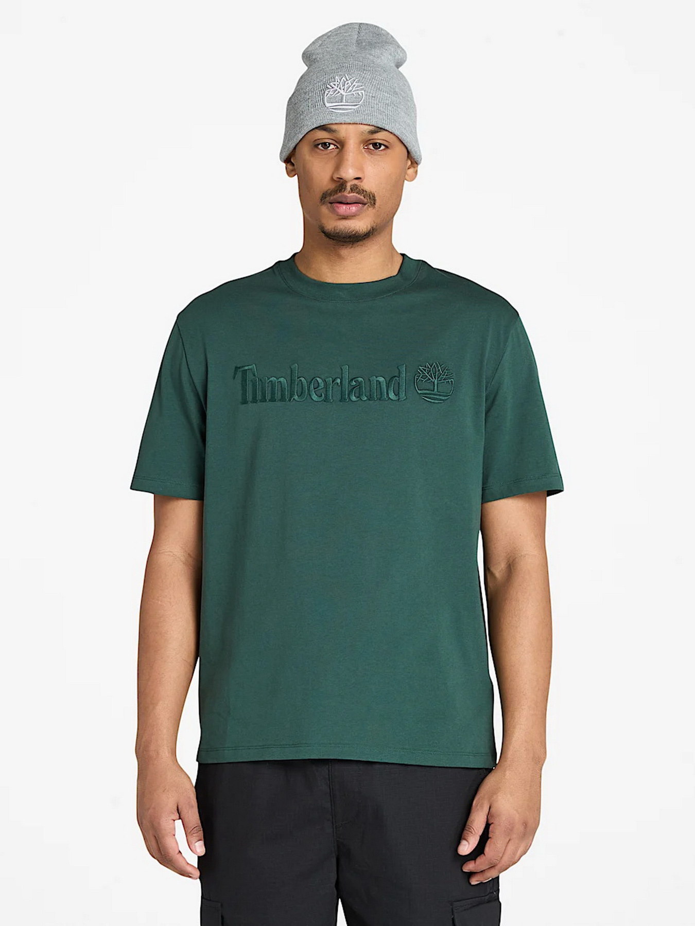 Футболка Timberland модель TB0A6VPE317 Фото