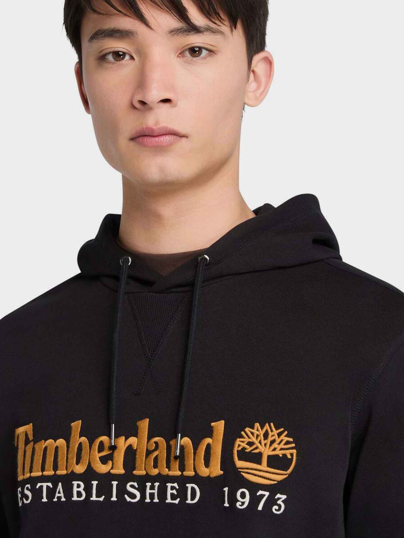 Худі Timberland Established 1973 модель TB0A5MX8001 Фото