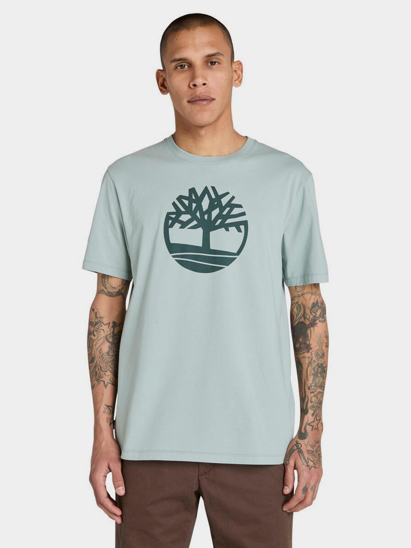 Футболка Timberland Kennebec River Tree модель TB0A2C2REYM Фото