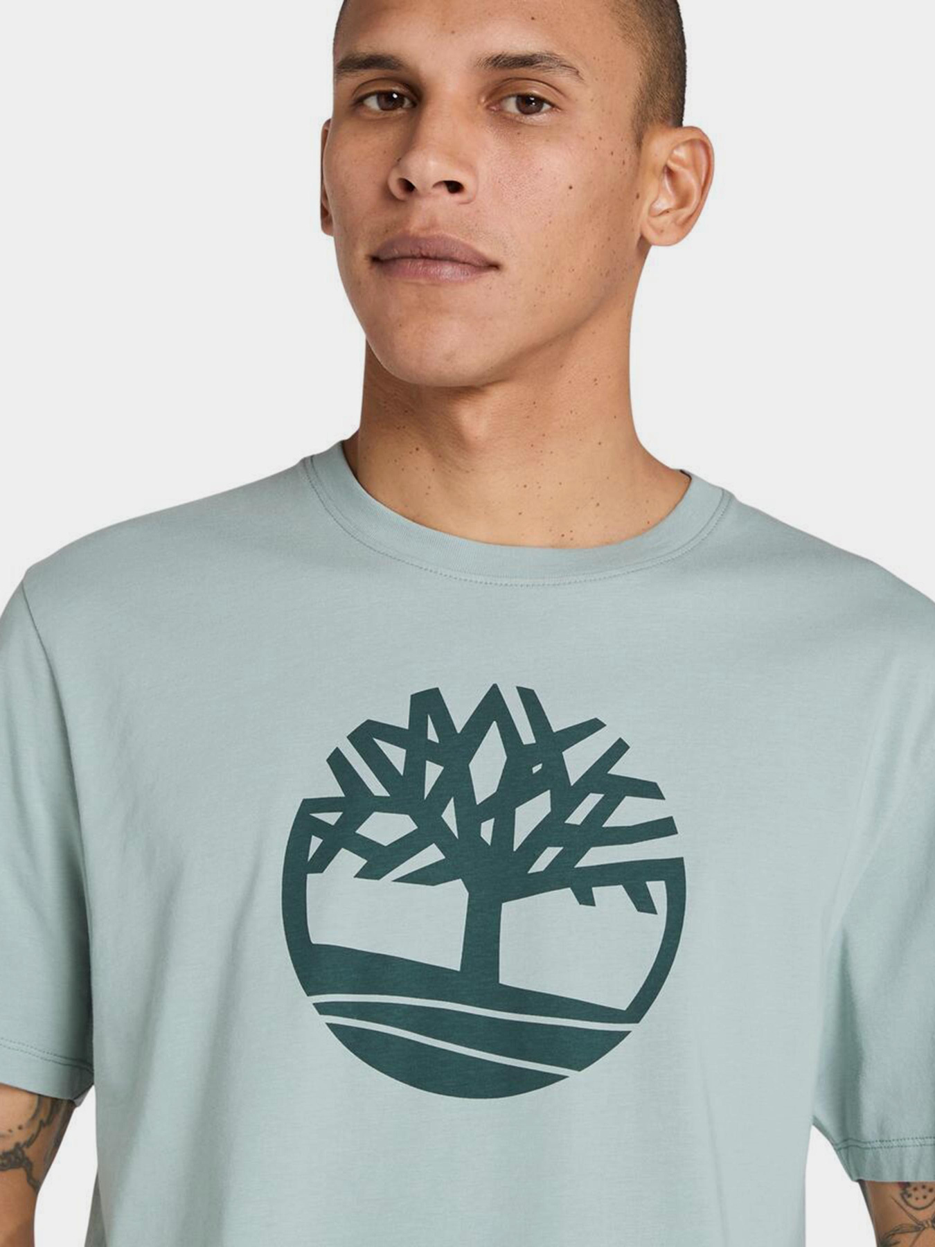 Футболка Timberland Kennebec River Tree модель TB0A2C2REYM Футболка Timberland Kennebec River Tree модель TB0A2C2REYM Фото